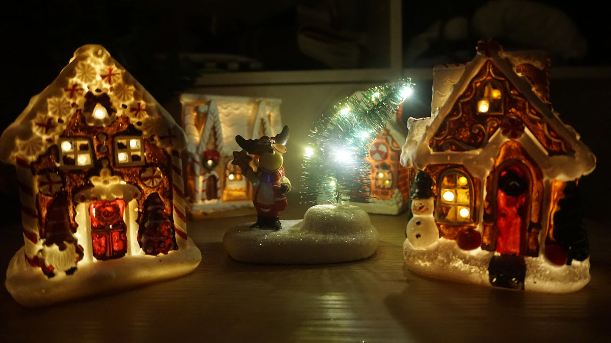 2. Multi Kerstdorp Peck