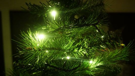 Kerst lampjes (10m)