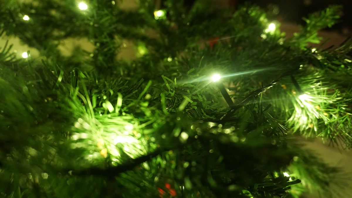 Kerst lampjes (10m)